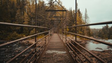 Photo of Meer slimme lampen in huis? Zo vergroot je het bereik van je Hue bridge