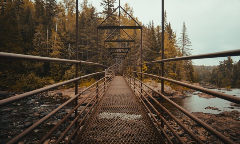 Photo of Meer slimme lampen in huis? Zo vergroot je het bereik van je Hue bridge