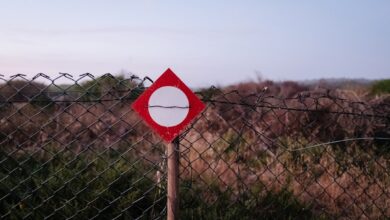 Photo of Snel aan de slag met een bouwtekening voor je overkapping downloaden