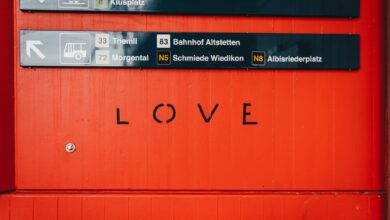 Photo of Het leven en de liefdes van Henry van Loon