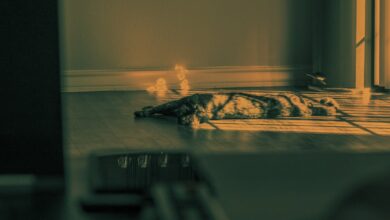 Photo of Vloerverwarming: Wat kost het om je huis comfortabel te verwarmen?