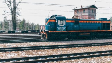 Photo of De naam Koetschruiter: een bijzondere familie in Nederland