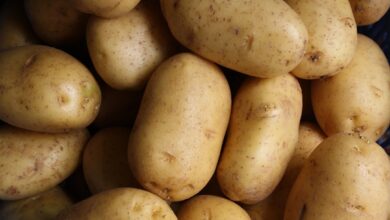Photo of Aardappelen en groenten in de slowcooker: zo doe je het goed