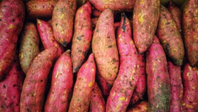 Photo of Zoete aardappel stamppot: zo maak je hem romig en smaakvol