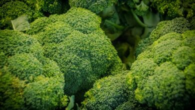 Photo of Traybake broccoli: zo maak je een makkelijke ovenmaaltijd