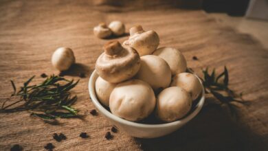 Photo of Varkenshaas met champignons uit de slowcooker: zo maak je het