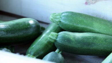 Photo of Courgette stamppot: zo maak je hem romig en smaakvol
