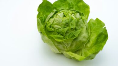 Photo of Stamppot ijsbergsla: zo maak je een frisse zomerstamppot