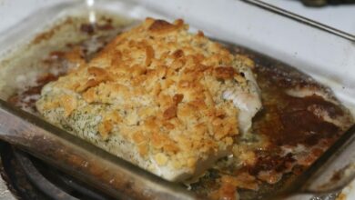 Photo of Zalm ovenschotel: makkelijk recept voor een complete maaltijd