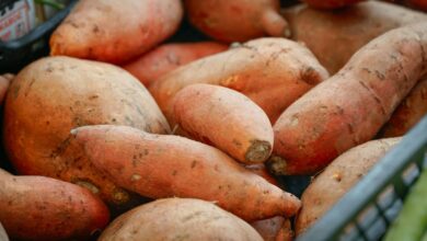 Photo of Traybake zoete aardappel: zo maak je een makkelijke ovenmaaltijd