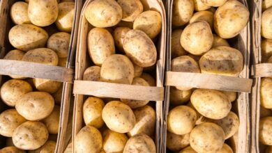 Photo of Traybake aardappel: makkelijk recept met groenten uit de oven