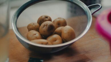 Photo of Stamppot: alles wat je moet weten over dit klassieke Nederlandse gerecht